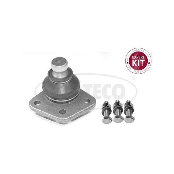 Kulled / Spindelled, Nedre framaxel Corteco 49395706 CORTECO