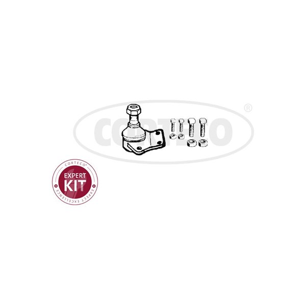 Kulled / Spindelled, framaxel höger, framaxel vänster, Nedre Cort CORTECO Kulled / Spindelled, framaxel höger, framaxel vänster, Nedre Cort CORTECO