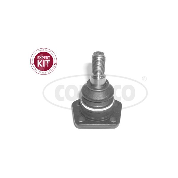 Kulled / Spindelled, Nedre Corteco 49395755 CORTECO