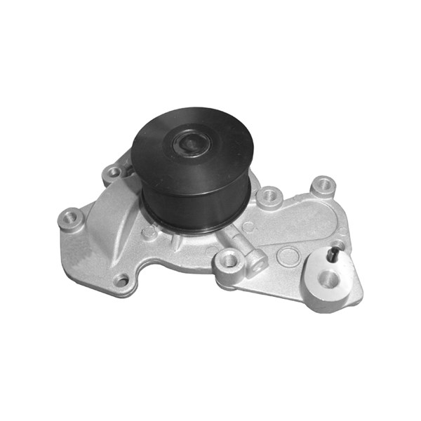 Vattenpump Dolz H229 DOLZ Vattenpump Dolz H229 DOLZ
