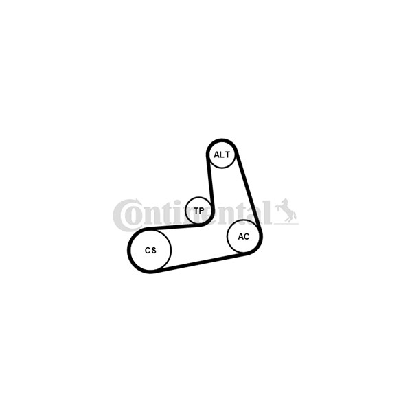 Drivremsats Contitech 6PK1005K2 CONTITECH