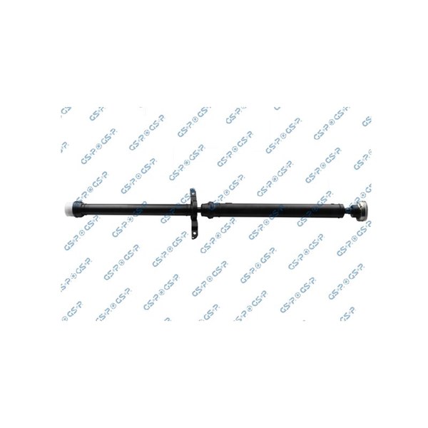 Kardan, Bak Gsp PS900108 GSP