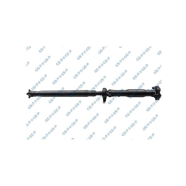Kardan, Bak Gsp PS900113 GSP