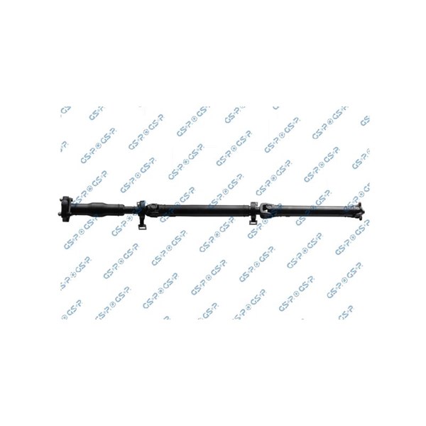 Kardan, Bak Gsp PS900121 GSP