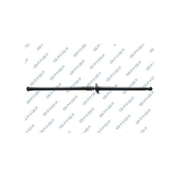Kardan, Bak Gsp PS900251 GSP