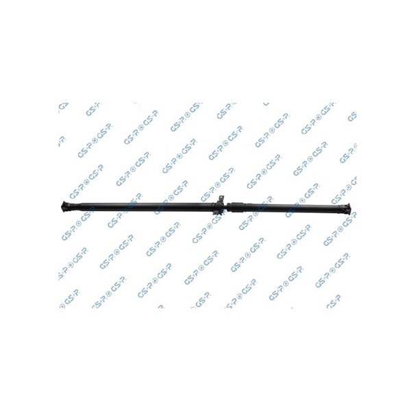Kardan, Bak Gsp PS900252 GSP
