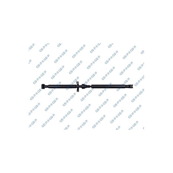 Kardan, Bak Gsp PS900273 GSP