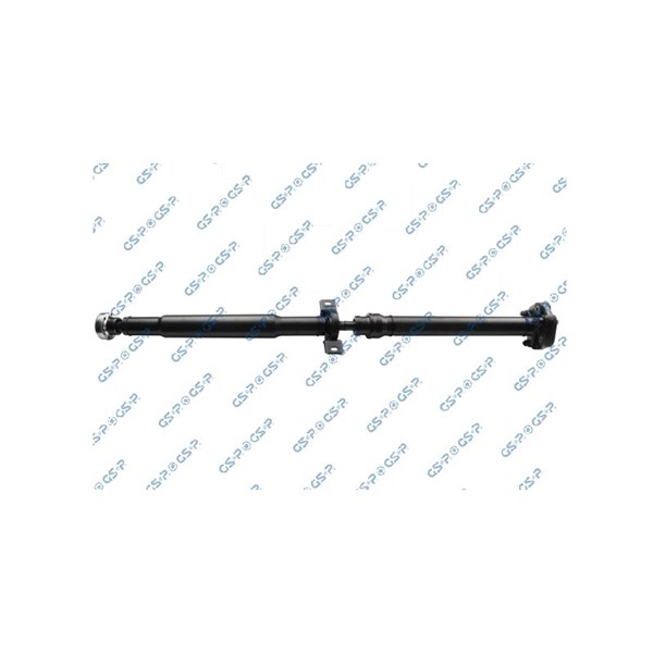Kardan, Bak Gsp PS900363 GSP
