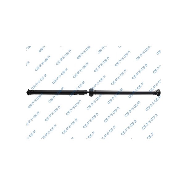 Kardan, Bak Gsp PS900445 GSP