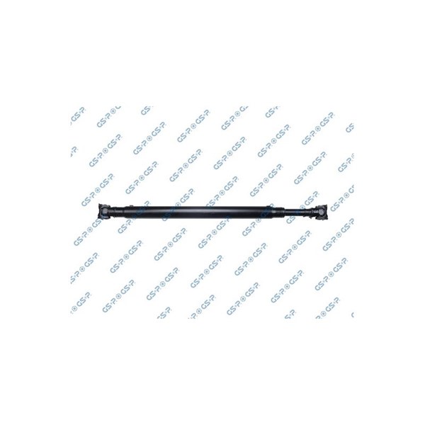 Kardan, Bak Gsp PS900484 GSP