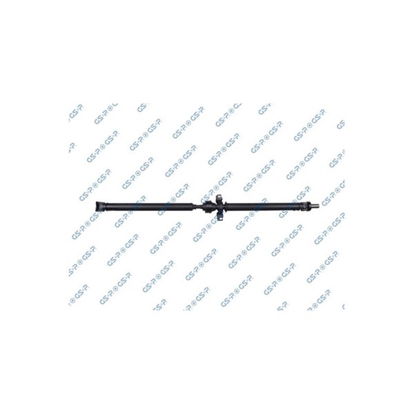 Kardan, Bak Gsp PS900492 GSP