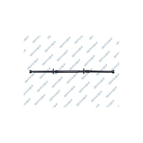 Kardan, Bak Gsp PS900513 GSP