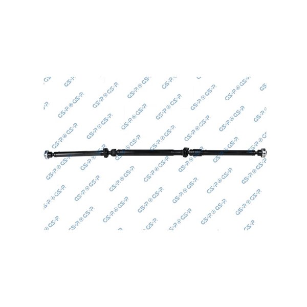 Kardan, Bak Gsp PS900513 GSP