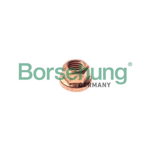 Mutter avgasgrenrör Borsehung B10639 Borsehung
