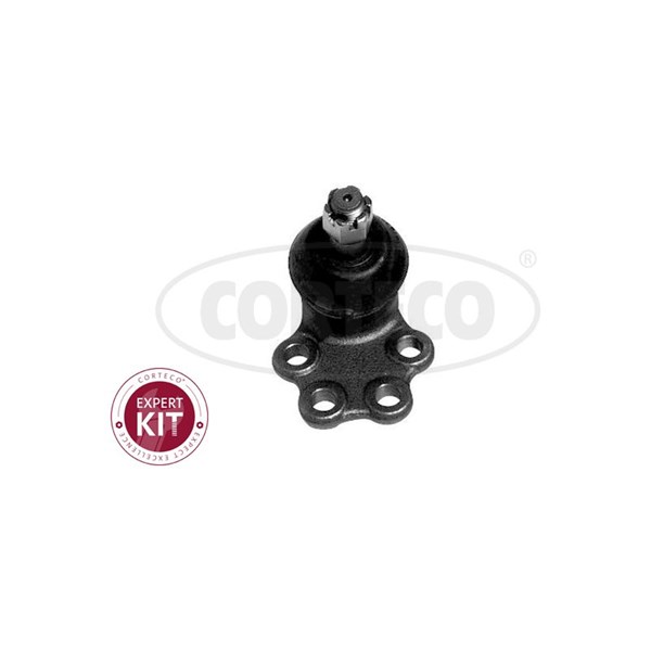 Kulled / Spindelled, Nedre framaxel, framaxel höger, framaxel vän CORTECO Kulled / Spindelled, Nedre framaxel, framaxel höger, framaxel vän CORTECO