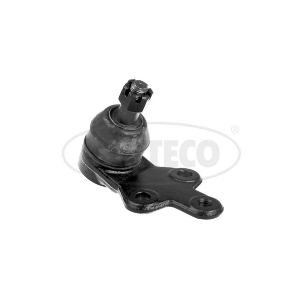 Kulled / Spindelled, framaxel höger, framaxel vänster, Nedre Cort CORTECO Kulled / Spindelled, framaxel höger, framaxel vänster, Nedre Cort CORTECO