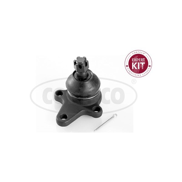 Kulled / Spindelled, Övre framaxel, framaxel höger, framaxel väns CORTECO Kulled / Spindelled, Övre framaxel, framaxel höger, framaxel väns CORTECO