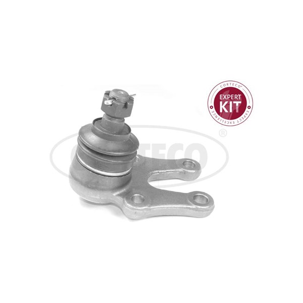 Kulled / Spindelled, framaxel höger, framaxel vänster, Nedre Cort CORTECO Kulled / Spindelled, framaxel höger, framaxel vänster, Nedre Cort CORTECO