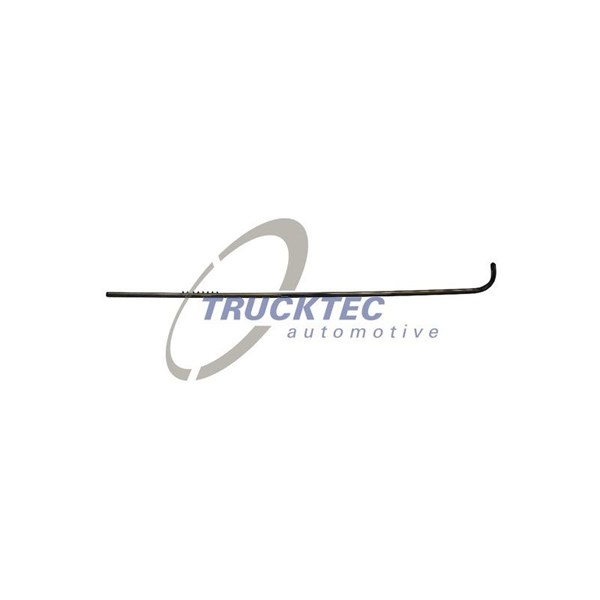 Prydnads-/ Skyddlist, sidovägg, Vänster, Upptill Trucktec automot TRUCKTEC AUTOMOTIVE Prydnads-/ Skyddlist, sidovägg, Vänster, Upptill Trucktec automot TRUCKTEC AUTOMOTIVE