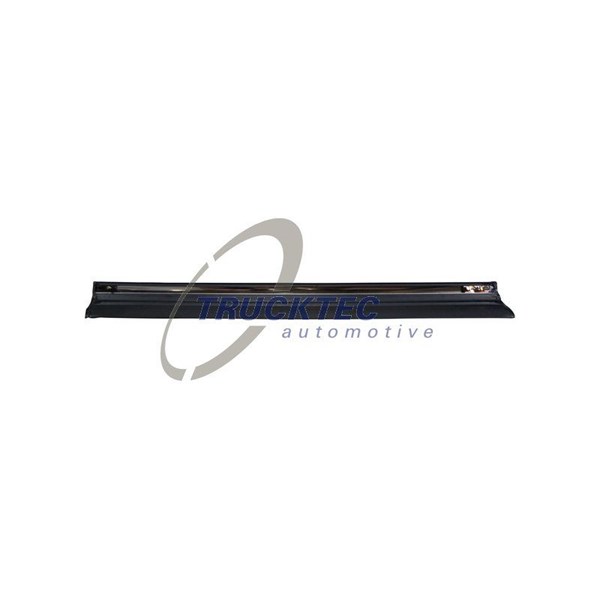Instegslist, Vänster bak, Upptill Trucktec automotive 02.52.109 TRUCKTEC AUTOMOTIVE