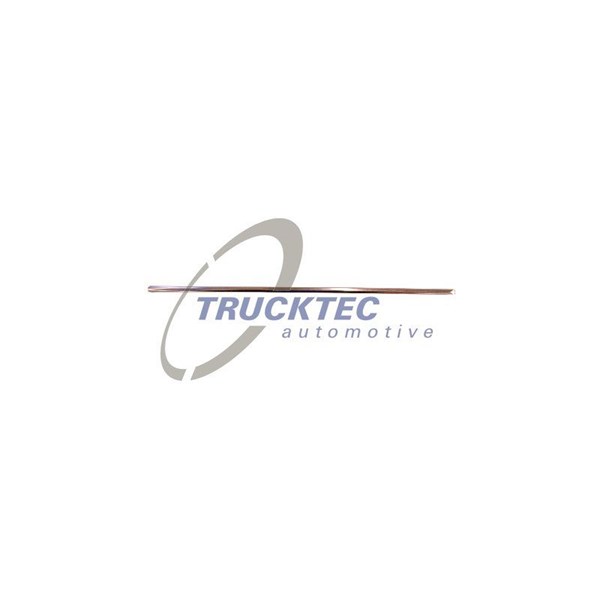 Prydnads- / Skyddslist, kylargaller Trucktec automotive 02.60.432 TRUCKTEC AUTOMOTIVE
