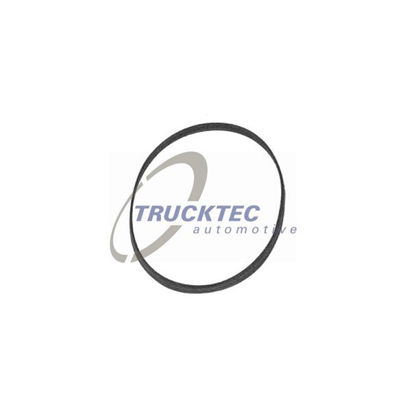 Packning, termostathus Trucktec automotive 08.10.044 TRUCKTEC AUTOMOTIVE