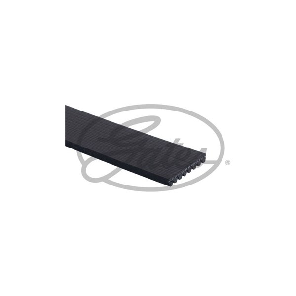 Drivrem Gates 8PK1120EST Gates Drivrem Gates 8PK1120EST Gates