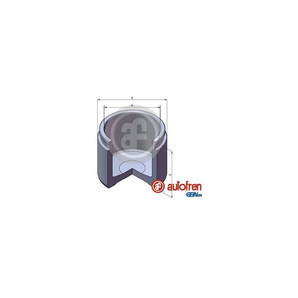 Kolv, bromsok, Bakaxel Autofren seinsa D025820 AUTOFREN SEINSA