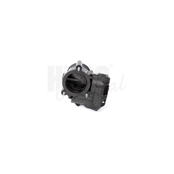Gasspjäll/Spjällhus Hitachi 138577 HITACHI