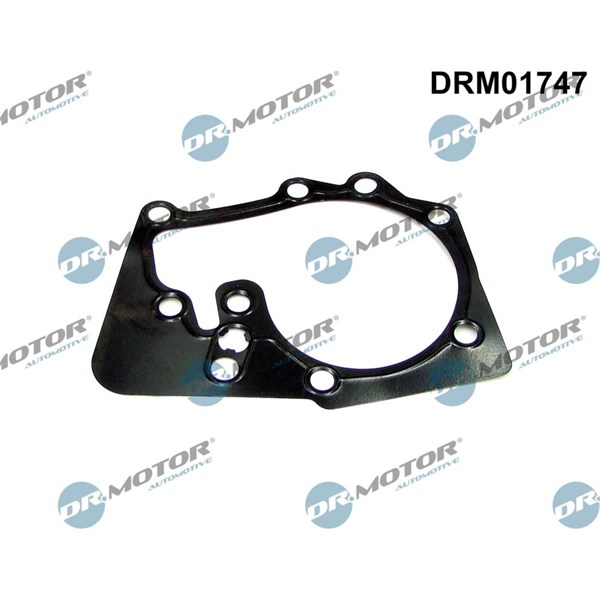 Packning, vattenpump Dr.motor automotive DRM01747 Dr.Motor Automotive