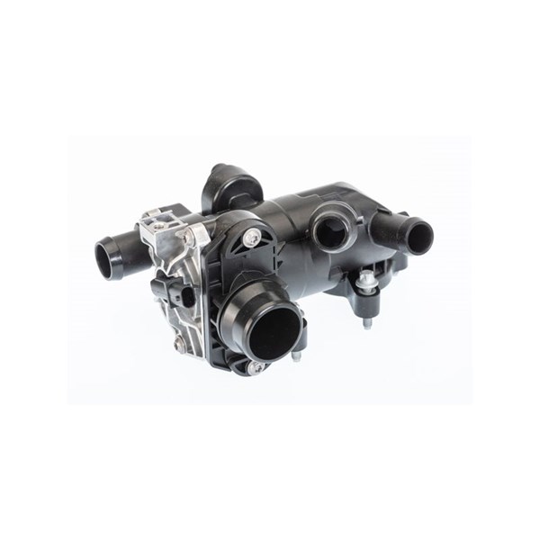 Termostat, kylvätska Borgwarner (wahler) 412250.96D BorgWarner (Wahler)