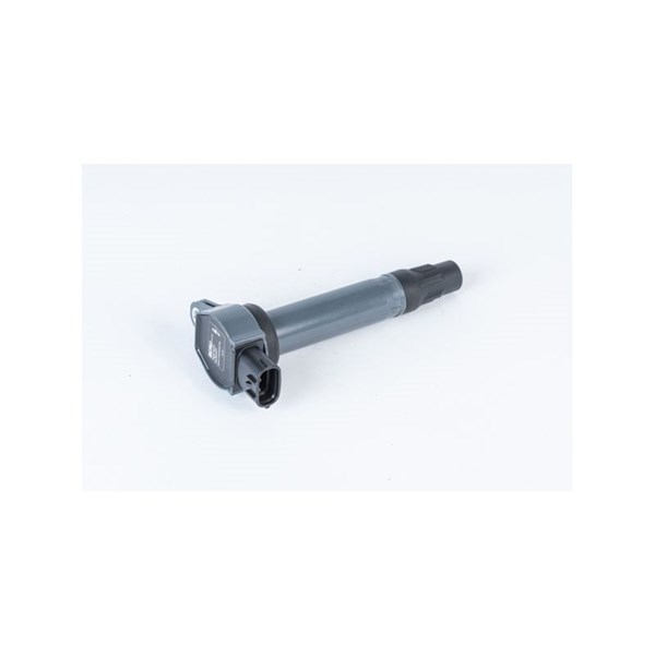 Tändspole 12V Beru ZSE207 BERU