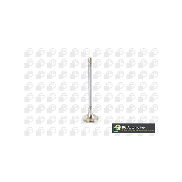 Avgasventil Bga V123003 BGA