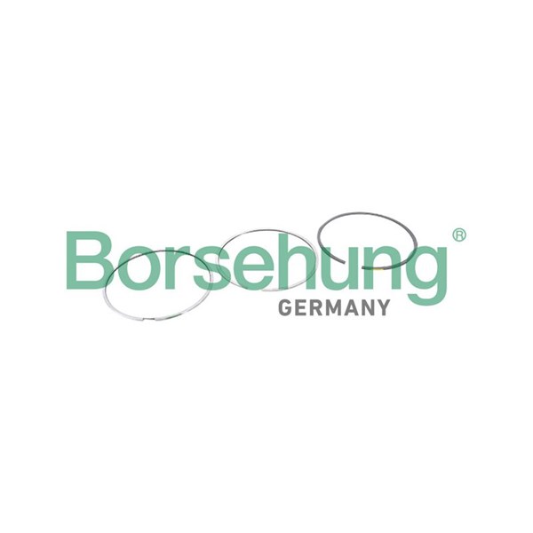 Kolvringar, kit Borsehung B10364 Borsehung