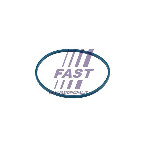 Packning, bränslepåfyllningsrör Fast FT48504 FAST