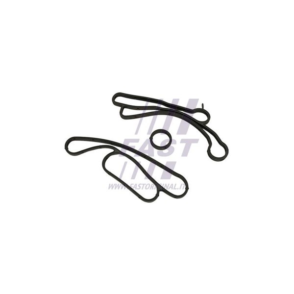 Packning, oljekylare Fast FT48938 FAST
