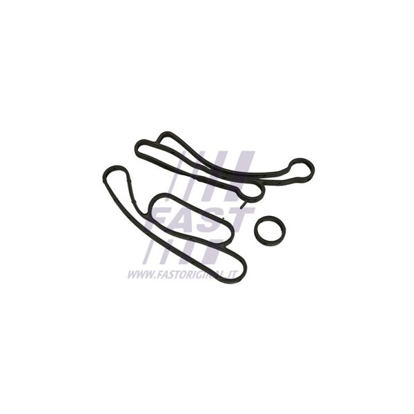 Packning, oljekylare Fast FT48938 FAST