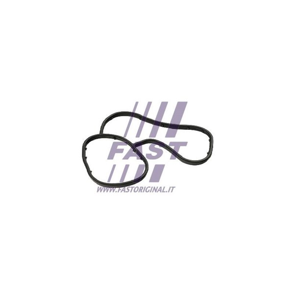 Packning, oljekylare Fast FT48941 FAST