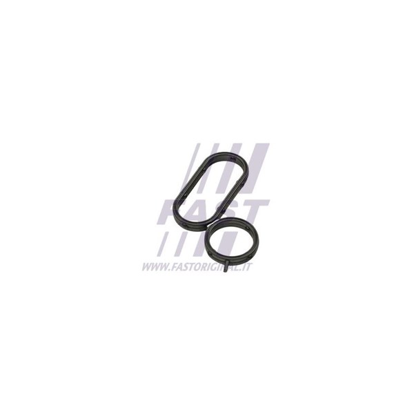Packning, oljekylare Fast FT48944 FAST