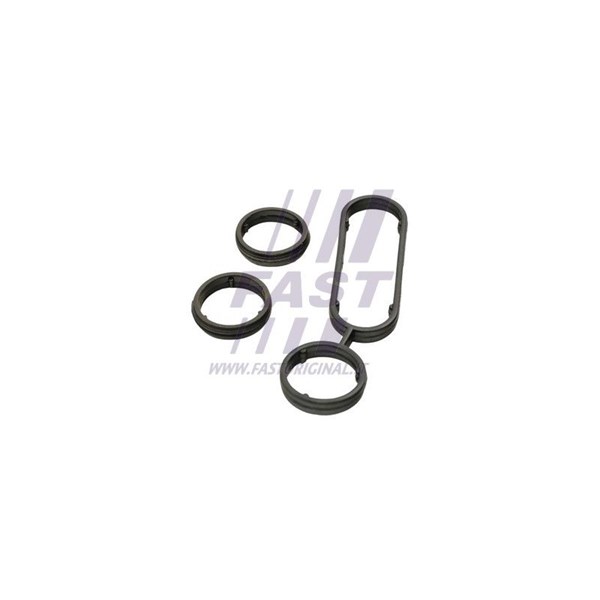 Packning, oljekylare Fast FT48946 FAST