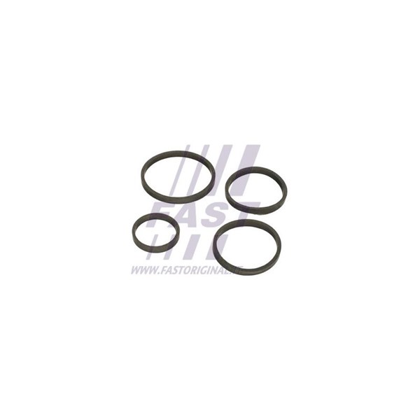 Packning, oljekylare Fast FT48949 FAST