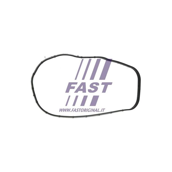 Packning, kamaxelhus Fast FT49065 FAST