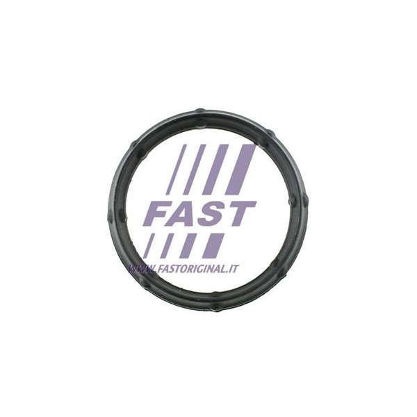 Packning, insugsgrenrör Fast FT49424 FAST