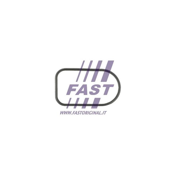 Packning, insugsgrenrör Fast FT49425 FAST