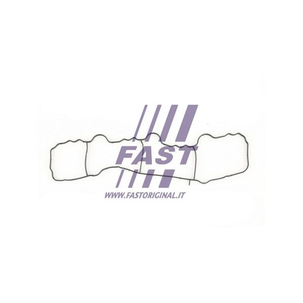 Packning, insugsgrenrör, Insugsgrenrör Fast FT49430 FAST