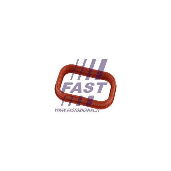 Packning, insugsgrenrör, Cylindriskt huvud Fast FT49435 FAST