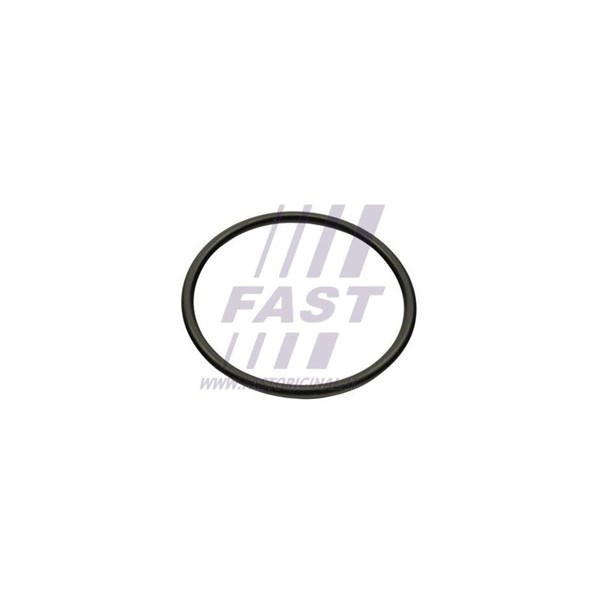 Packning, insugsgrenrör, Avgas-/utsläppssidan Fast FT49460 FAST