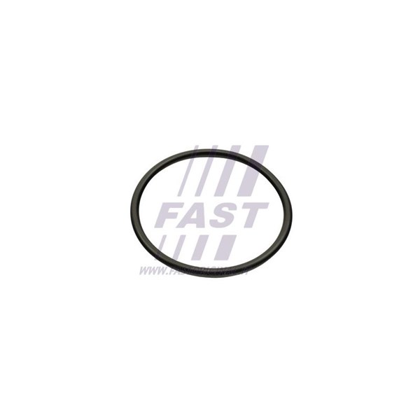 Packning, insugsgrenrör, Avgas-/utsläppssidan Fast FT49460 FAST