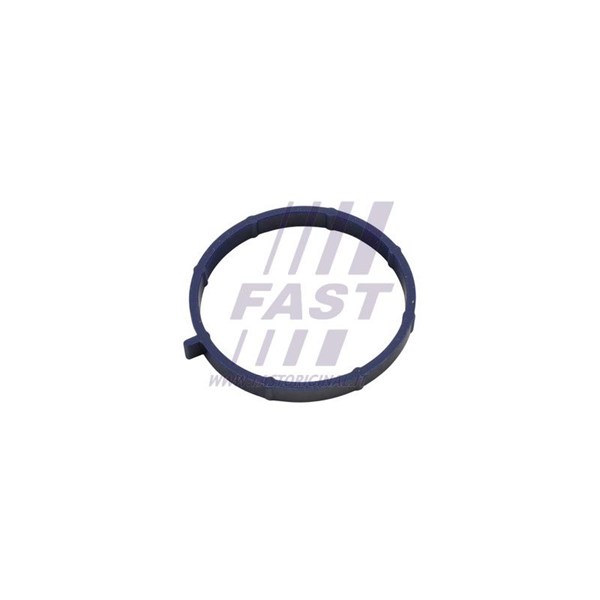 Packning, insugsgrenrör Fast FT49467 FAST