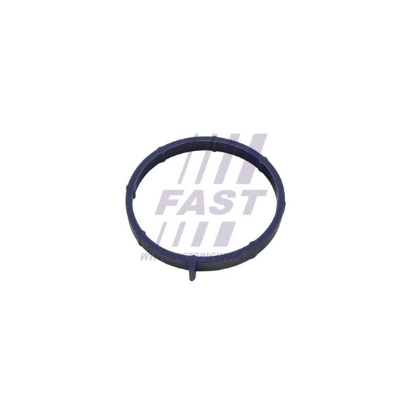Packning, insugsgrenrör Fast FT49467 FAST